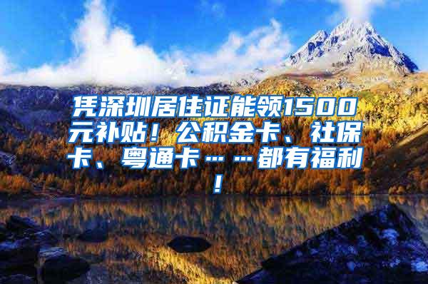 凭深圳居住证能领1500元补贴！公积金卡、社保卡、粤通卡……都有福利！