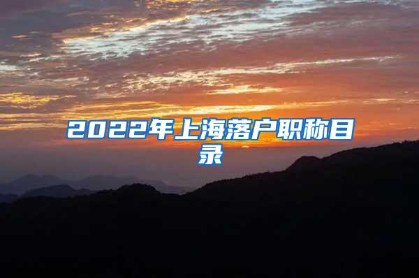 2022年上海落户职称目录