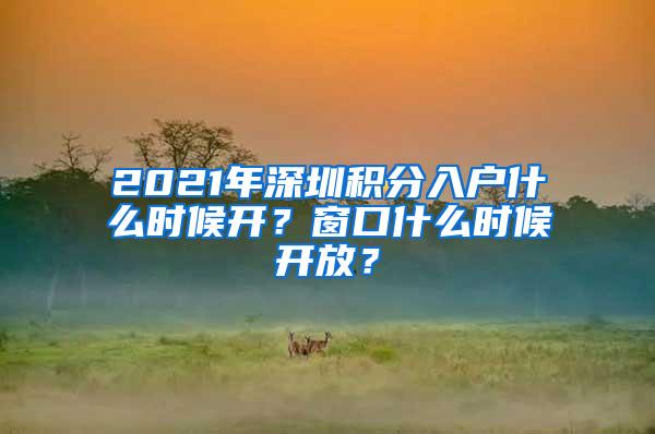 2021年深圳积分入户什么时候开？窗口什么时候开放？