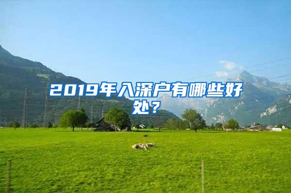 2019年入深户有哪些好处？