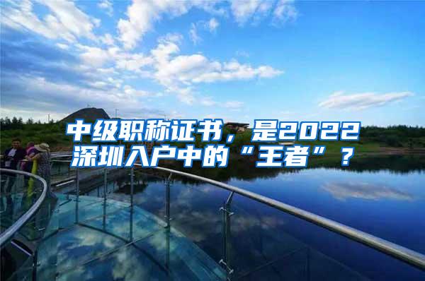 中级职称证书，是2022深圳入户中的“王者”？