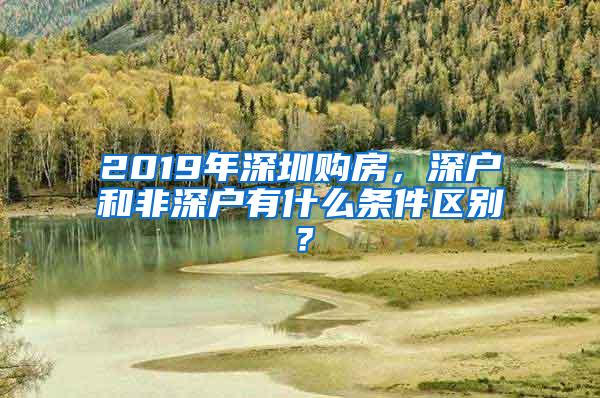 2019年深圳购房，深户和非深户有什么条件区别？