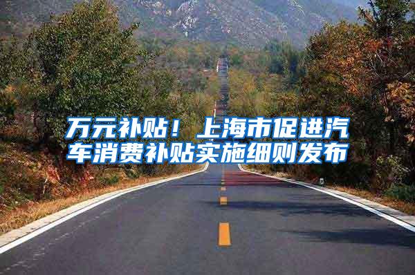 万元补贴！上海市促进汽车消费补贴实施细则发布