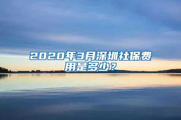 2020年3月深圳社保费用是多少？