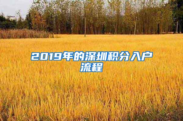 2019年的深圳积分入户流程