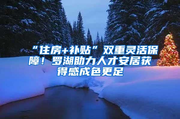 “住房+补贴”双重灵活保障！罗湖助力人才安居获得感成色更足