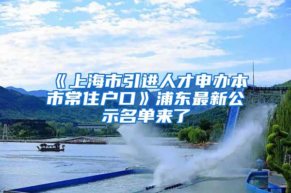 《上海市引进人才申办本市常住户口》浦东最新公示名单来了