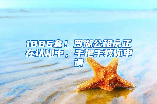 1886套！罗湖公租房正在认租中，手把手教你申请