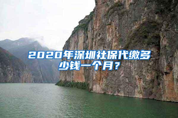 2020年深圳社保代缴多少钱一个月？