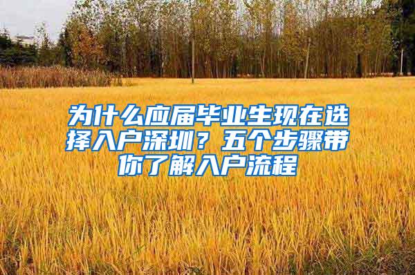 为什么应届毕业生现在选择入户深圳？五个步骤带你了解入户流程