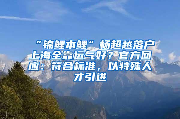 “锦鲤本鲤”杨超越落户上海全靠运气好？官方回应：符合标准，以特殊人才引进