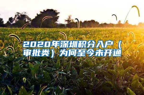 2020年深圳积分入户（审批类）为何至今未开通