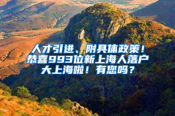 人才引进、附具体政策！恭喜993位新上海人落户大上海啦！有您吗？