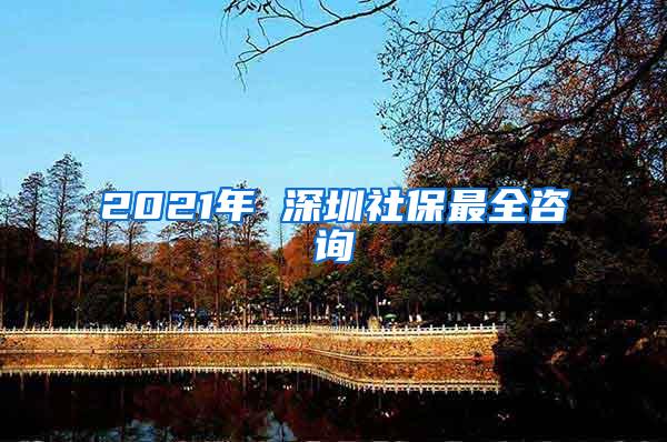 2021年 深圳社保最全咨询