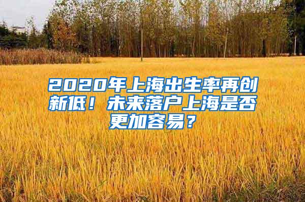 2020年上海出生率再创新低！未来落户上海是否更加容易？