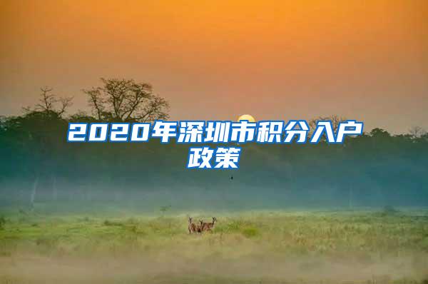 2020年深圳市积分入户政策