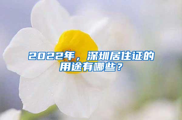 2022年，深圳居住证的用途有哪些？