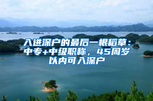 入进深户的最后一根稻草：中专+中级职称，45周岁以内可入深户