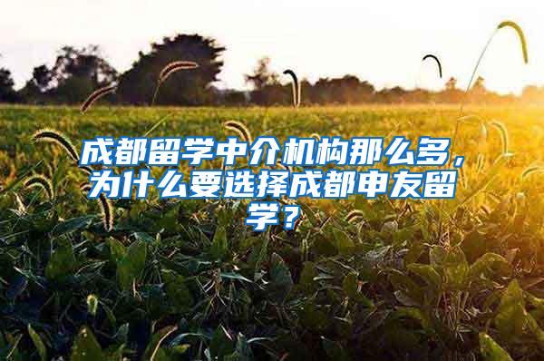 成都留学中介机构那么多，为什么要选择成都申友留学？