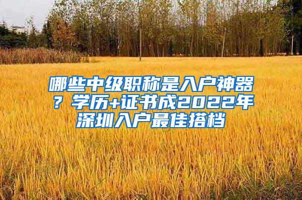 哪些中级职称是入户神器？学历+证书成2022年深圳入户最佳搭档