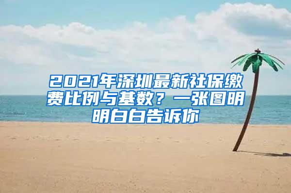 2021年深圳最新社保缴费比例与基数？一张图明明白白告诉你