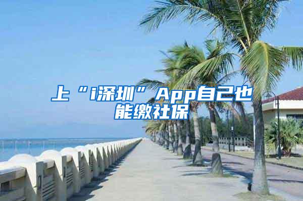 上“i深圳”App自己也能缴社保