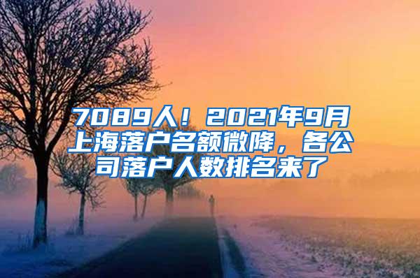 7089人！2021年9月上海落户名额微降，各公司落户人数排名来了