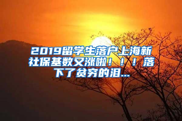 2019留学生落户上海新社保基数又涨啦！！！落下了贫穷的泪...