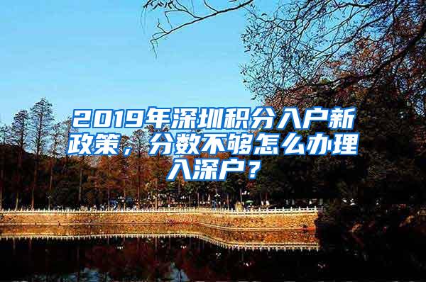 2019年深圳积分入户新政策，分数不够怎么办理入深户？