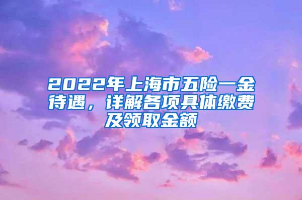 2022年上海市五险一金待遇，详解各项具体缴费及领取金额