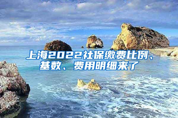 上海2022社保缴费比例、基数、费用明细来了