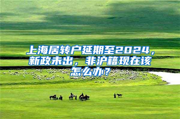 上海居转户延期至2024，新政未出，非沪籍现在该怎么办？