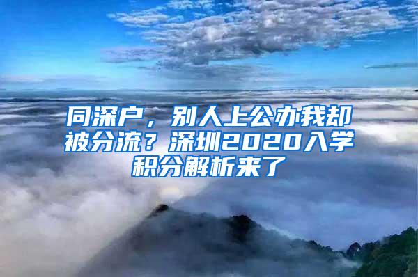 同深户，别人上公办我却被分流？深圳2020入学积分解析来了