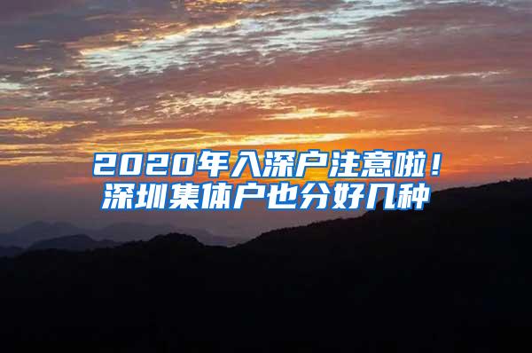 2020年入深户注意啦！深圳集体户也分好几种