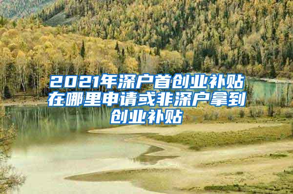 2021年深户首创业补贴在哪里申请或非深户拿到创业补贴