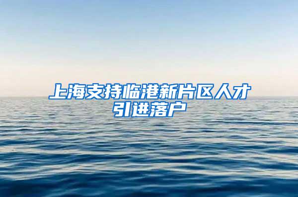 上海支持临港新片区人才引进落户