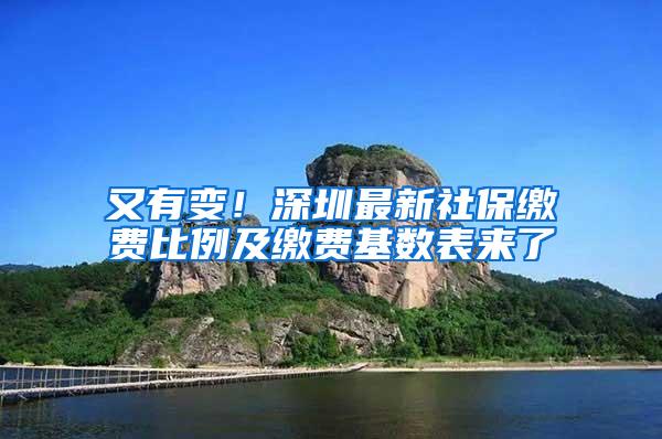 又有变！深圳最新社保缴费比例及缴费基数表来了