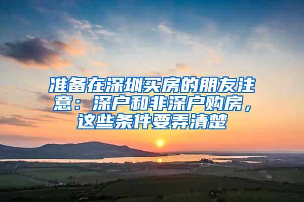 准备在深圳买房的朋友注意：深户和非深户购房，这些条件要弄清楚