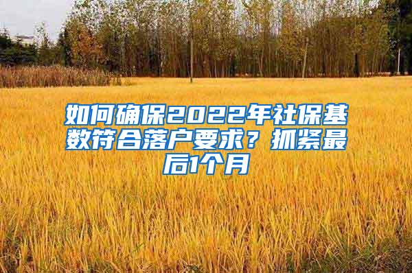 如何确保2022年社保基数符合落户要求？抓紧最后1个月