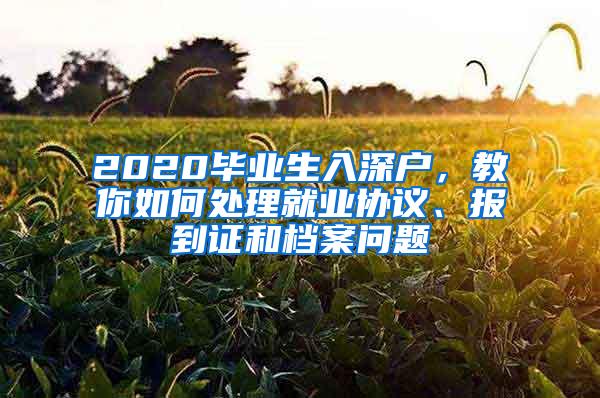 2020毕业生入深户，教你如何处理就业协议、报到证和档案问题