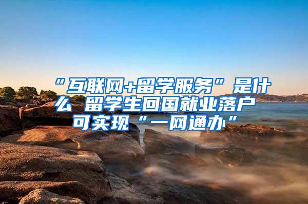 “互联网+留学服务”是什么 留学生回国就业落户可实现“一网通办”