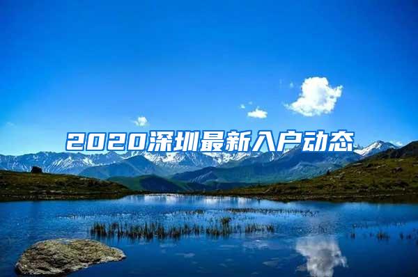 2020深圳最新入户动态