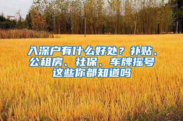 入深户有什么好处？补贴、公租房、社保、车牌摇号这些你都知道吗