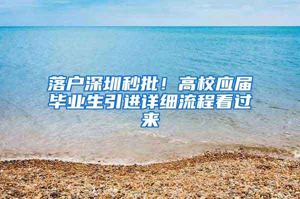 落户深圳秒批！高校应届毕业生引进详细流程看过来