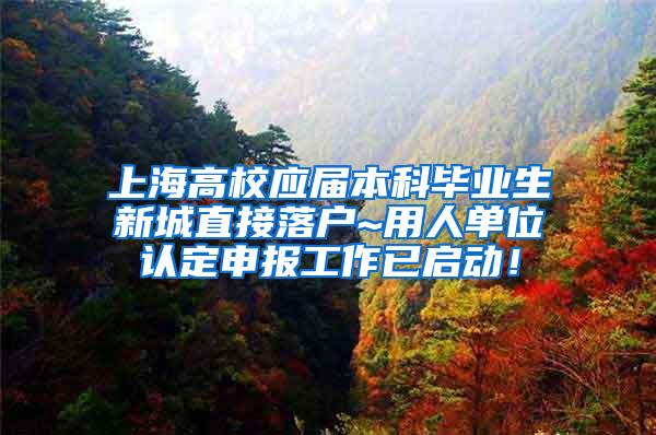 上海高校应届本科毕业生新城直接落户~用人单位认定申报工作已启动！