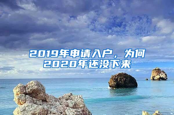 2019年申请入户，为何2020年还没下来