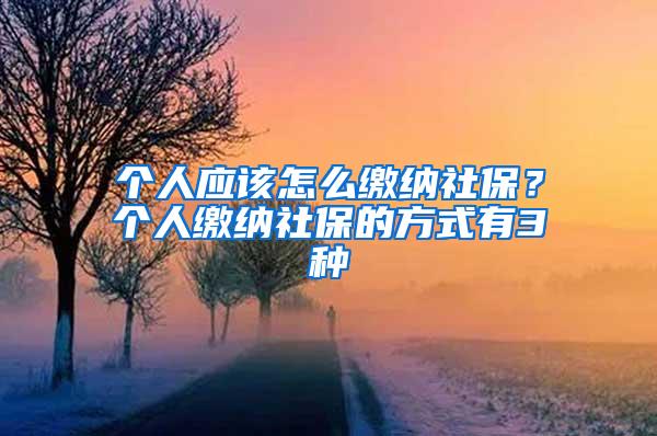 个人应该怎么缴纳社保？个人缴纳社保的方式有3种