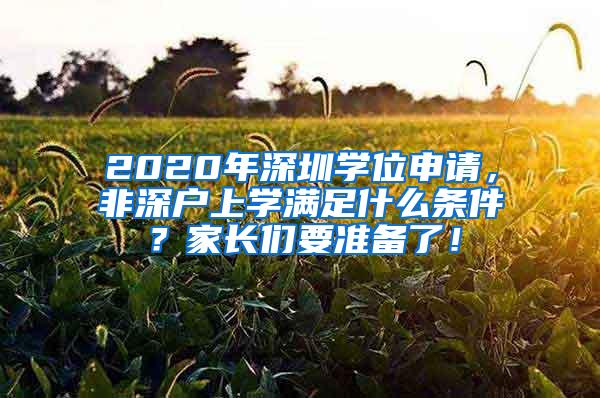 2020年深圳学位申请，非深户上学满足什么条件？家长们要准备了！