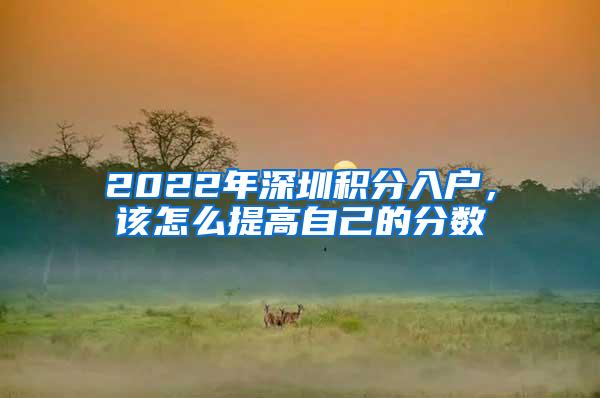 2022年深圳积分入户，该怎么提高自己的分数