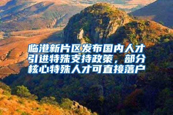 临港新片区发布国内人才引进特殊支持政策，部分核心特殊人才可直接落户